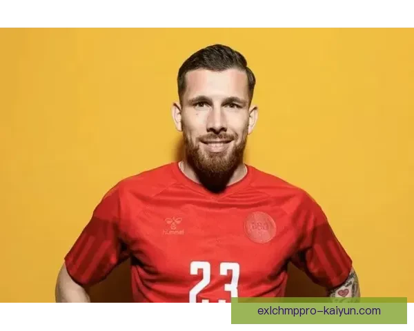 霍伊别尔战术适配性 霍伊别尔战术适配性