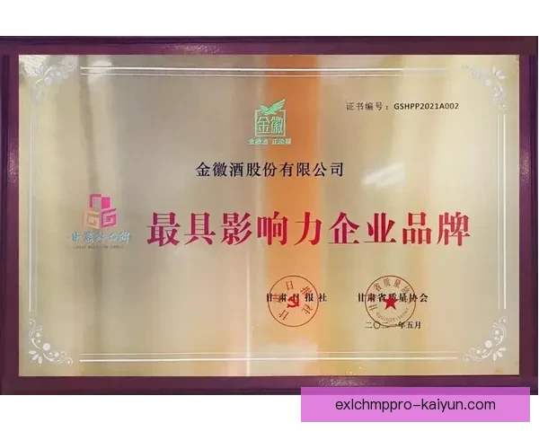 Osimhen 与多家品牌合作，持续提升市场影响力与赞助潜力